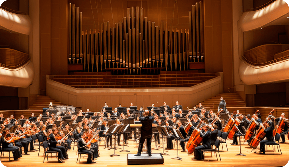 ご利用シーン：野コンサート、ライブ